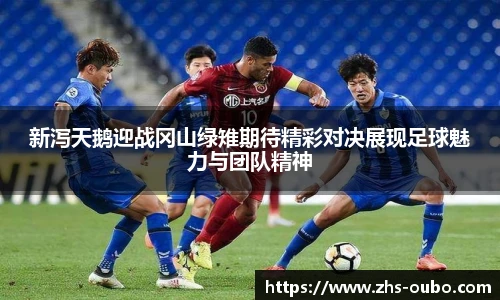 新泻天鹅迎战冈山绿雉期待精彩对决展现足球魅力与团队精神